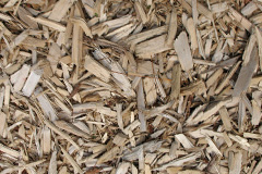 biomass boilers Papcastle